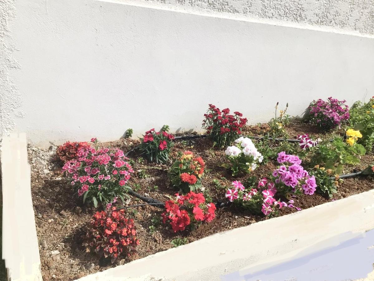 Arokaria Holiday Houses Platanes  Luaran gambar