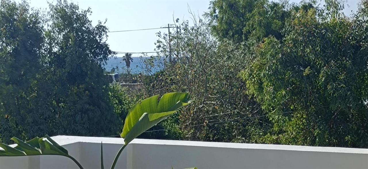 Arokaria Holiday Houses Platanes  Bilik gambar